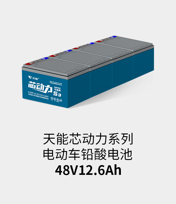 豪运国际电池48v12ah