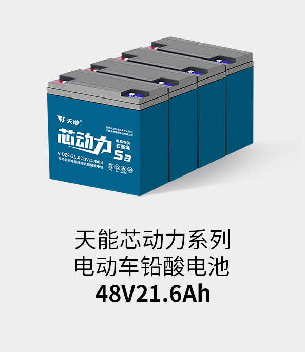 豪运国际电池48v20ah