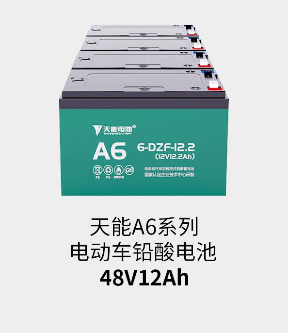 豪运国际电池48v12ah