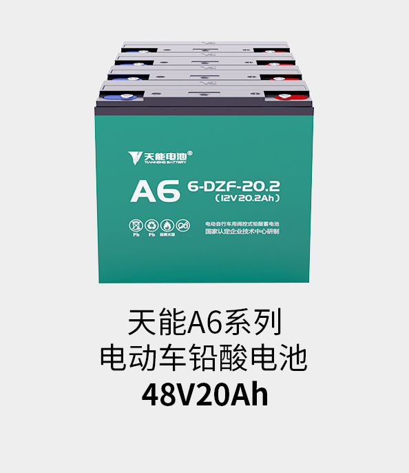 豪运国际电池48v20ah