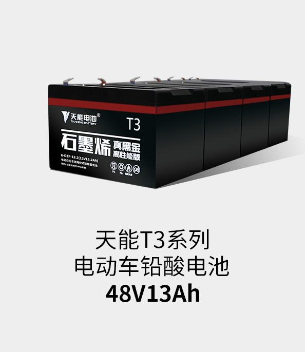 豪运国际T3系列48v13ah