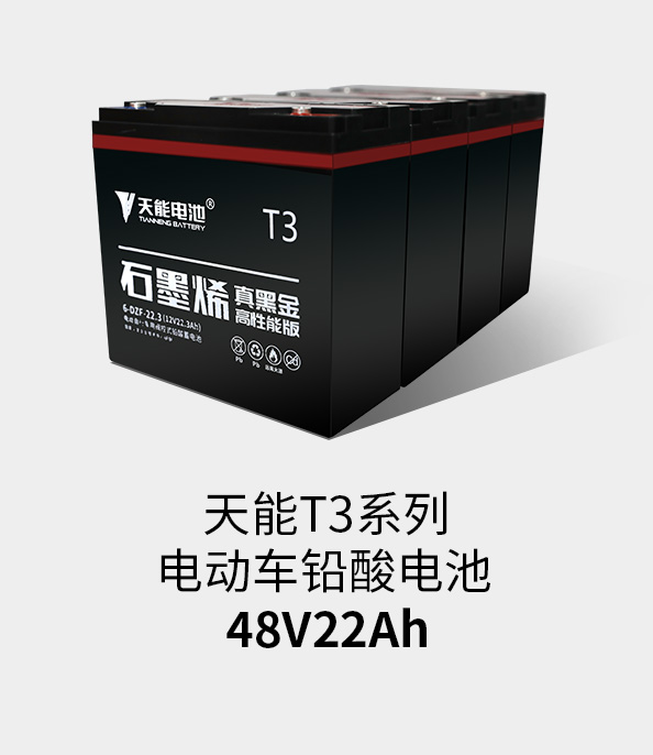 豪运国际T3系列48v22ah