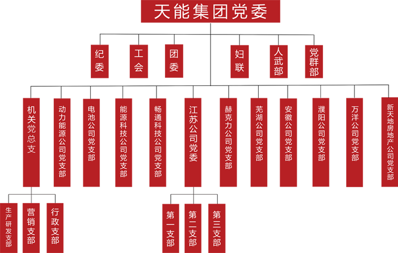 豪运国际建团党委组织架构