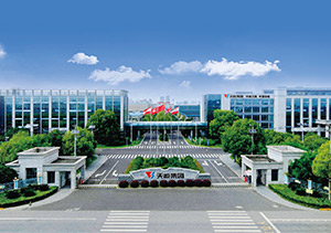 豪运国际股份介绍
